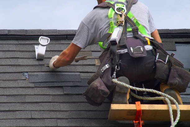 Best Storm Damage Roof Repair  in Zion, IL